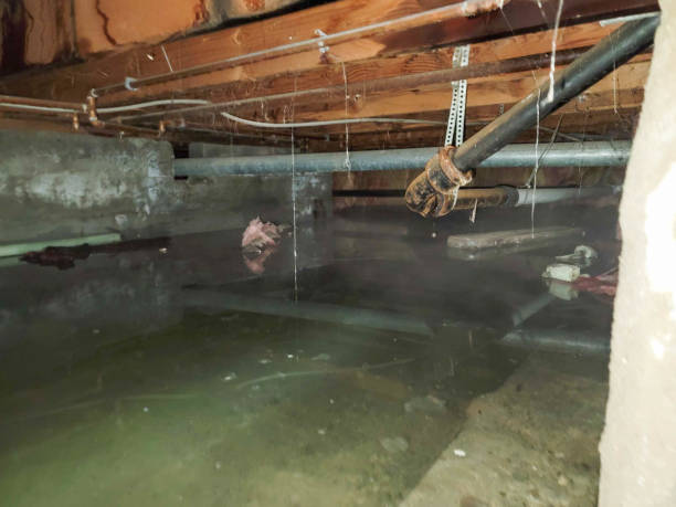  Antigo, WI Water damage restoration Pros