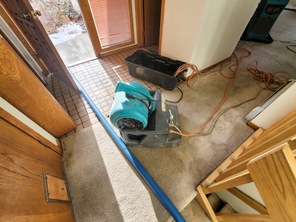 Best 24-hour water damage restoration  in Antigo, WI