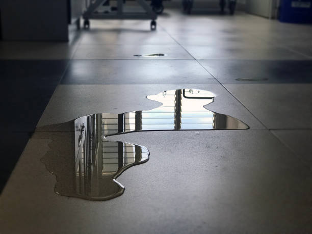 Best Professional water damage repair  in Antigo, WI