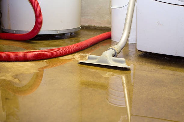 Best 24-hour water damage restoration  in Antigo, WI
