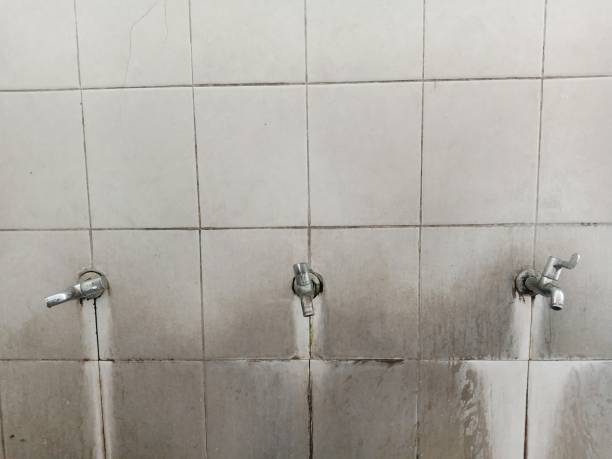 Best Local water damage restoration  in Antigo, WI