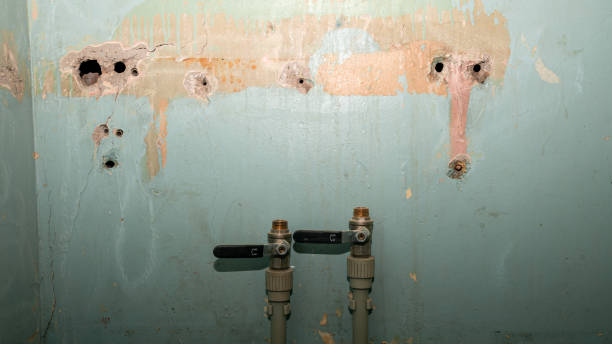 Best 24/7 water damage repair  in Antigo, WI