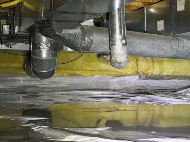 Best Water damage repair service  in Antigo, WI