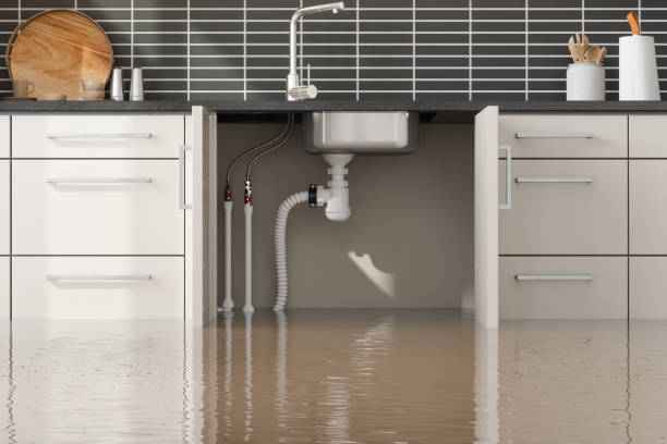 Best Basement water damage restoration  in Antigo, WI