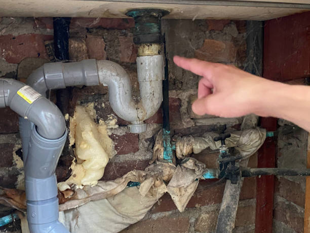 Best Flood damage cleanup  in Antigo, WI